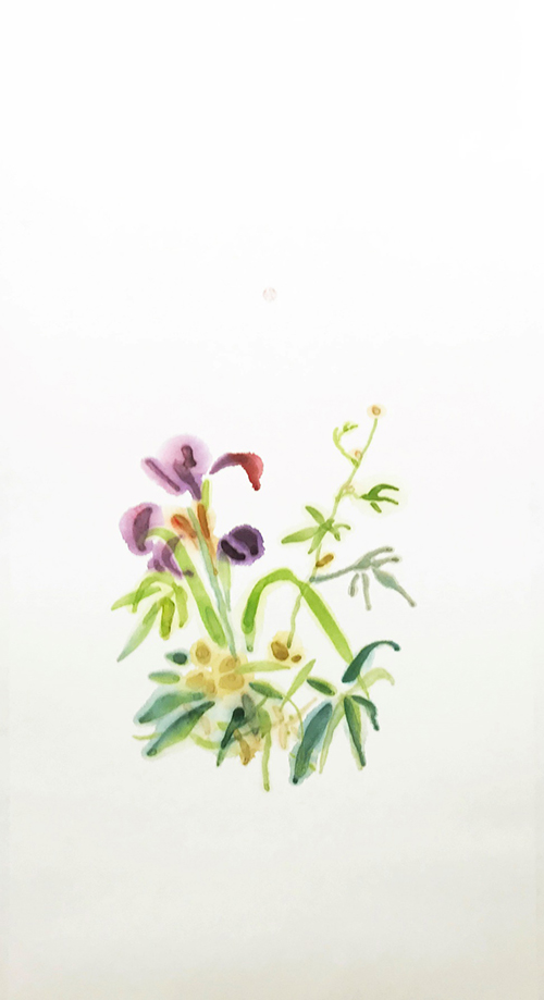 h53d1p14kac.jpg