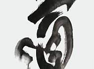 张瑞友的作品