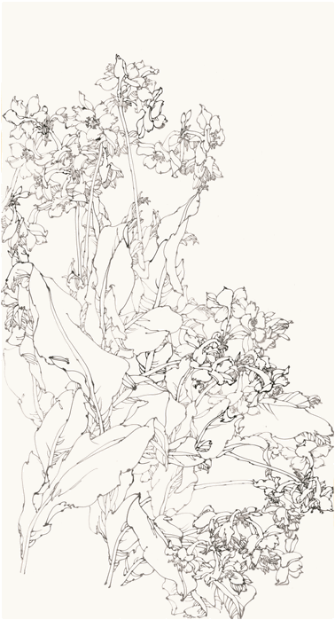 qpccr11ut5m.gif
