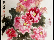 牡丹