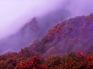 雾锁君山